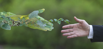 国产芯片龙头低调跻身全球第六